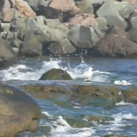 Apartment Emerald & Spa,studio Ikat310 *